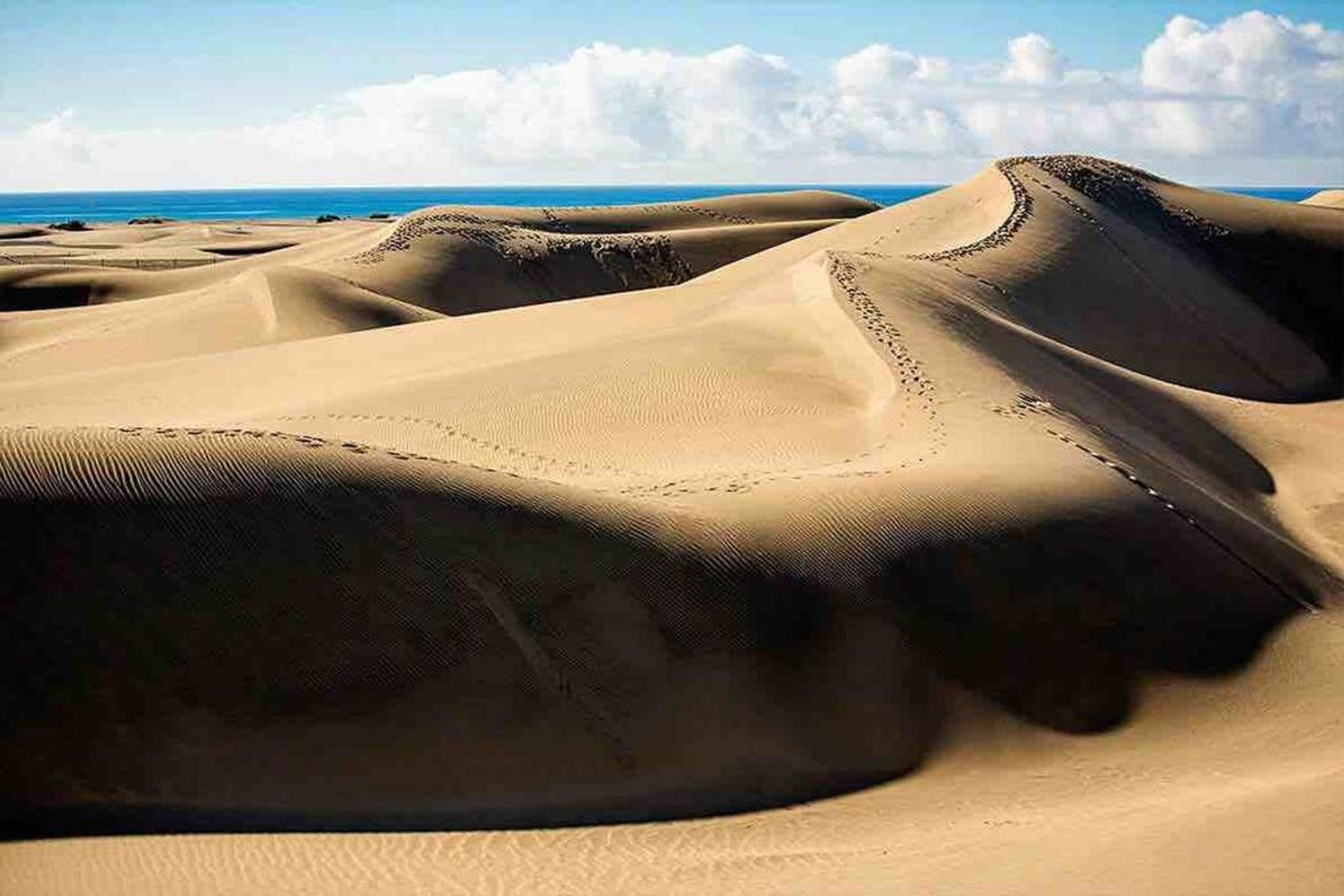 Canary Garden Club Maspalomas  Exterior photo